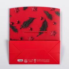 Коробка-пакет 18*23*11см 