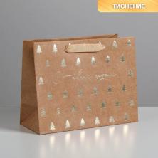 Пакет крафт 18*23*10см 