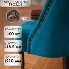 Гвоздь d-10мм h18,5/1,5мм (100шт)