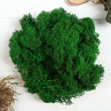 Мох стабилизированный арт.4722177 натуральный т.зеленый (50гр)