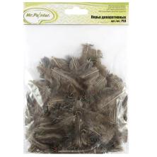 Перо фазана 2-10см арт.PLU-01 21-натуральный (3гр)