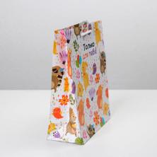 Пакет ламинат 23*18*8см 