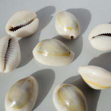 Ракушки 10-20мм ассорти арт.D20-31 01-натуральный (20гр)