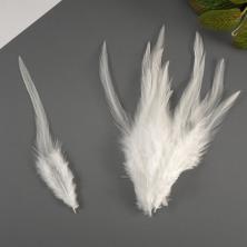 Перо фазана 10-16см арт.ИВ-434 белый (50шт)