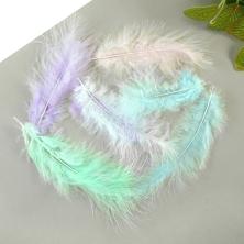 Перо куриное 10-17см арт.111-50030 ассорти (50шт)