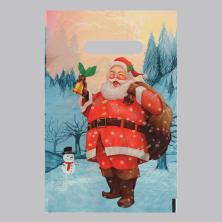 Пакет п/э с вырубной ручкой 30*20см 