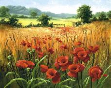 Г-007 "Маковое поле" Рисунок на ткани "М.П.Студия" 50*40см