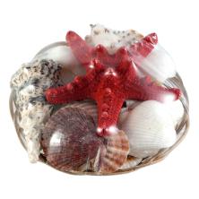 Набор ракушек с морской звездой арт.MZF-002 ассорти (300гр)