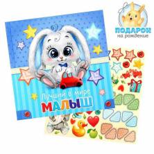 Первая книга малыша мини "Лучший в мире малыш" фото 6*6см и 12*9см арт.1383251