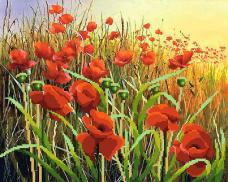 Г-010 "Маки" Рисунок на ткани "М.П.Студия" 50*40см