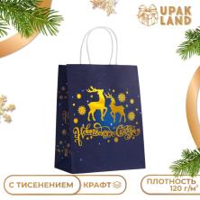 Пакет крафт "С Новым Годом" 27*21*11см арт.10576081