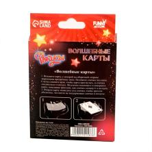 Фокусы "Волшебные карты" 10*8*2,5см арт.1121587