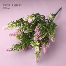 Ветка 