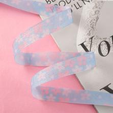 Лента 10мм арт.250202 (10м)