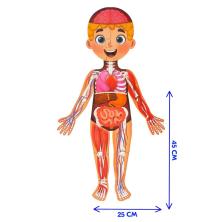 Мегапазл с обучающей книгой 