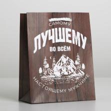 Пакет ламинат 25*21*8см 