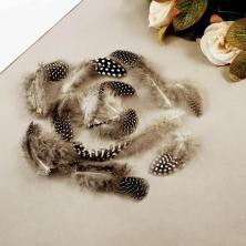 Перо цесарки 4-6см арт.PLU-08 03-натуральный (3гр)