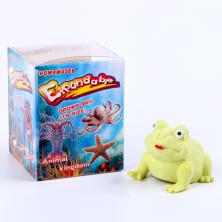 Растущая игрушка "Лягушка" 4*4*6см арт.9643866