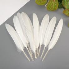 Перо утиное 14,5см арт.ФУ-10532