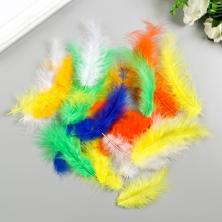 Перья фазана 10-12см арт.5132648 ассорти (24шт)