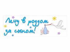 Магнит для авто 