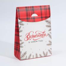 Коробка  22*15*7см 