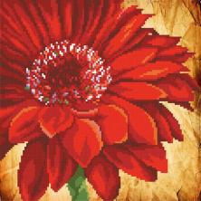 Г-041 "Астра" Рисунок на ткани "М.П.Студия" 35*40см