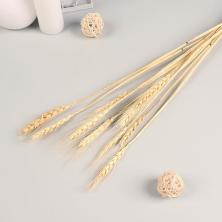 Ветка сухоцвет "Рожь" 60см арт.7081242 бежевый (10шт)