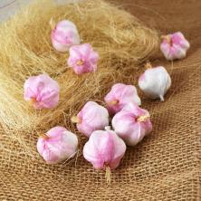 Чеснок 2,8*3см арт.702-52 бело-сиреневый