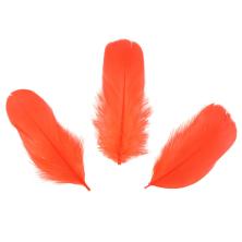 Перья арт.762/1 (8гр)