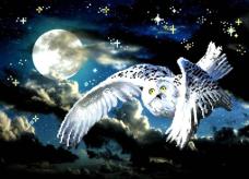 4152 "Сова" Рисунок на шелке бисером "Матренин Посад" 37*49см