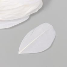 Перо гусиное  3,5-7см арт.9604796 белый (20шт)