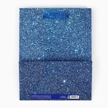 Пакет ламинат 23*18*10см 