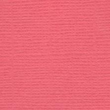 Кардсток для скрапбукинга 30,5*30,5см 216гр/м арт.PST (5листов)