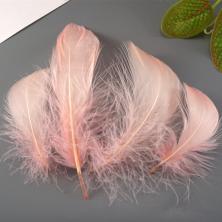 Перо 7-12см арт.ИВ-268 роз.-персик. (100шт)