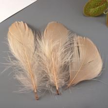 Перо 7-12см арт.ИВ-268 бежевый (100шт)
