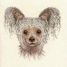 Набор для вышивания мулине Panna 20*20см арт.Ж-1130 "Китайская хохлатая"