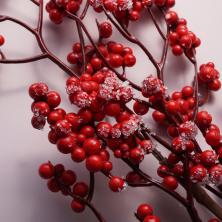 Ветка 65см "Ягоды" арт.106690 красный с белым напылением