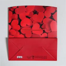 Коробка-пакет 23*18*11см 