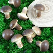 Гриб 3*2,5см арт.702-17 коричневый