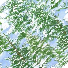 Ткань 110*100см Timeless Treasure арт.ST.M.CM1954.SKY