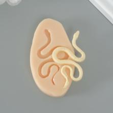 Молд силикон 