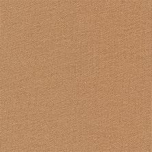 Трикотаж кукольный 50*55см 100% хлопок 225 г/кв.м арт.DTF-01