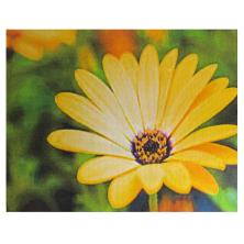 "Гербера желтая" 30*20см арт.1065K Картина стразами