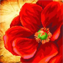 Г-043 "Мак" Рисунок на ткани "М.П.Студия" 35*40см