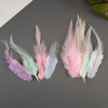 Перо фазана 10-12см арт.ИВ-434 пастельный микс-1 (50шт)