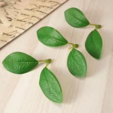 Листья "Магнолия" 5см арт.ИВ-884 зеленый