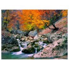 "Осень в Крыму" 50*40см арт.0149B Картина стразами на подрамнике